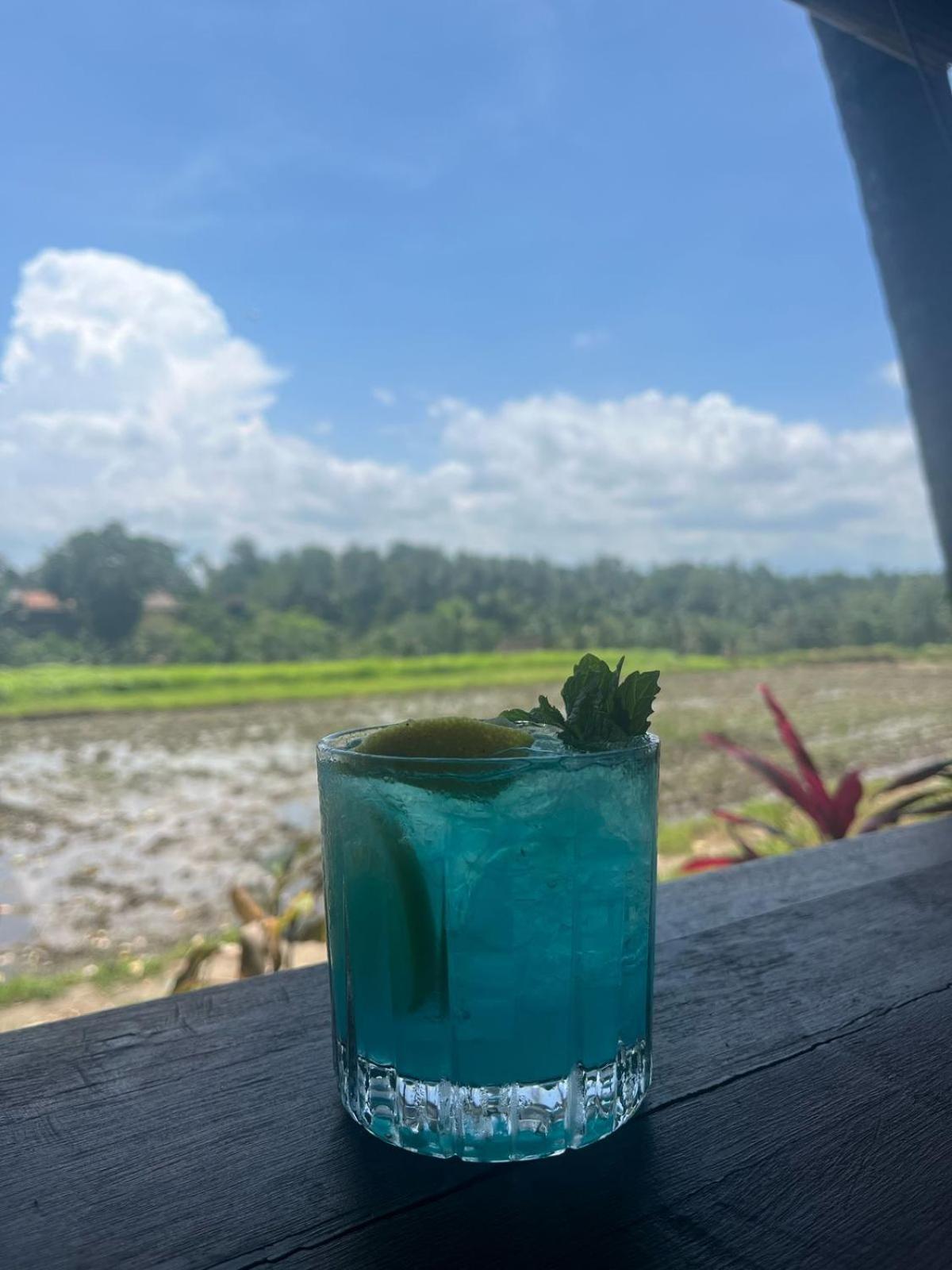 Teba Suci And Apartment Ubud (Bali)